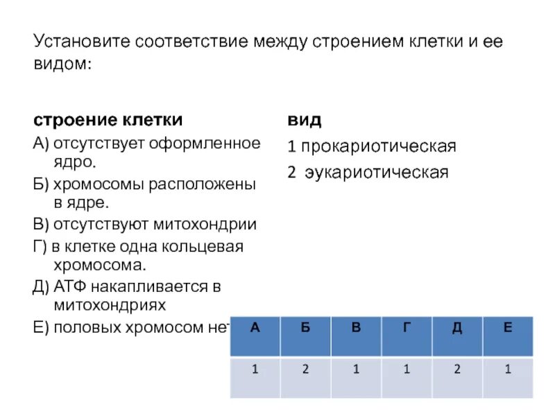 Кольцевая хромосома в митохондриях. Установите  соответствие между строением. Установите соответствие между признаками и клетками крови. Установите соответствие между клетками крови и их. Установить соответствие между характеристиками и клетками крови.