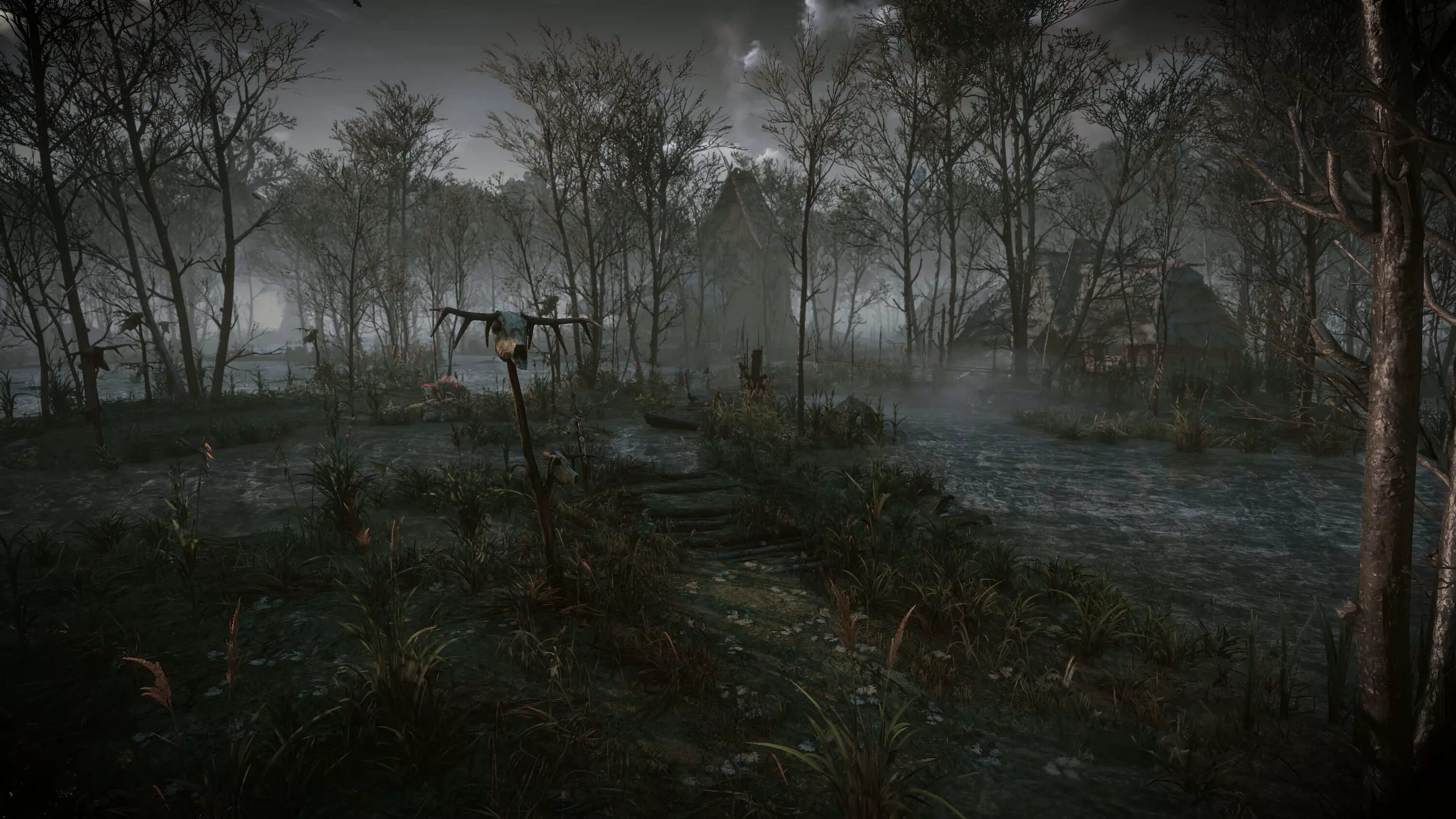 Bog 3