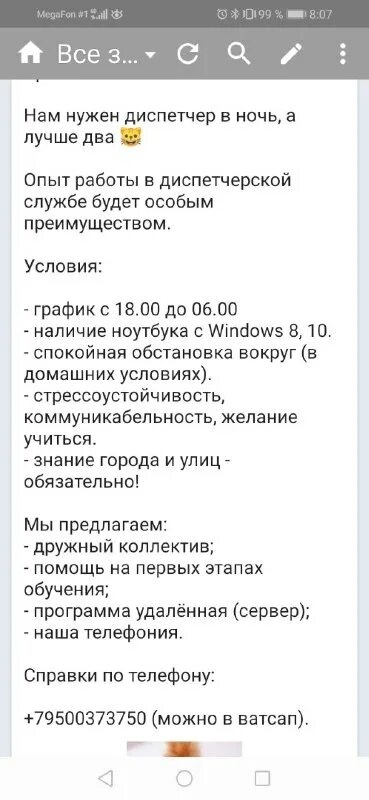 тигровый макрелевый табби рыжий. европейская короткошерстная кошка рыжая. рыжий кот тихвин номер телефона. рыжий кот тихвин номер телефона. рыжий кот тихвин номер телефона.