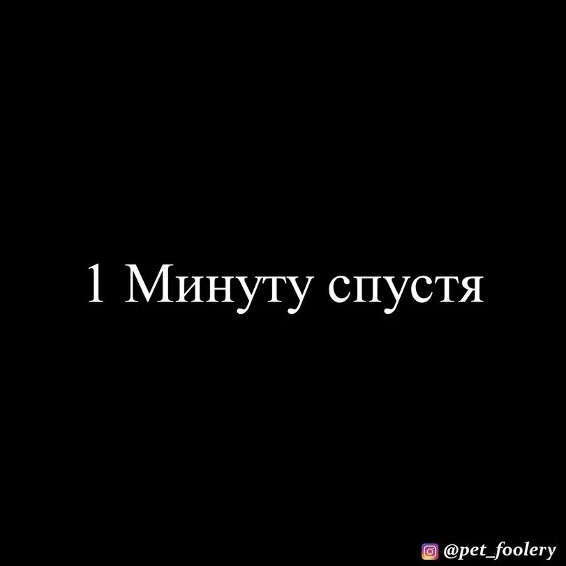 Минут спустя. Минуту спустя. Пару минут спустя. Пять минут спустя. 1 Минуту спустя.