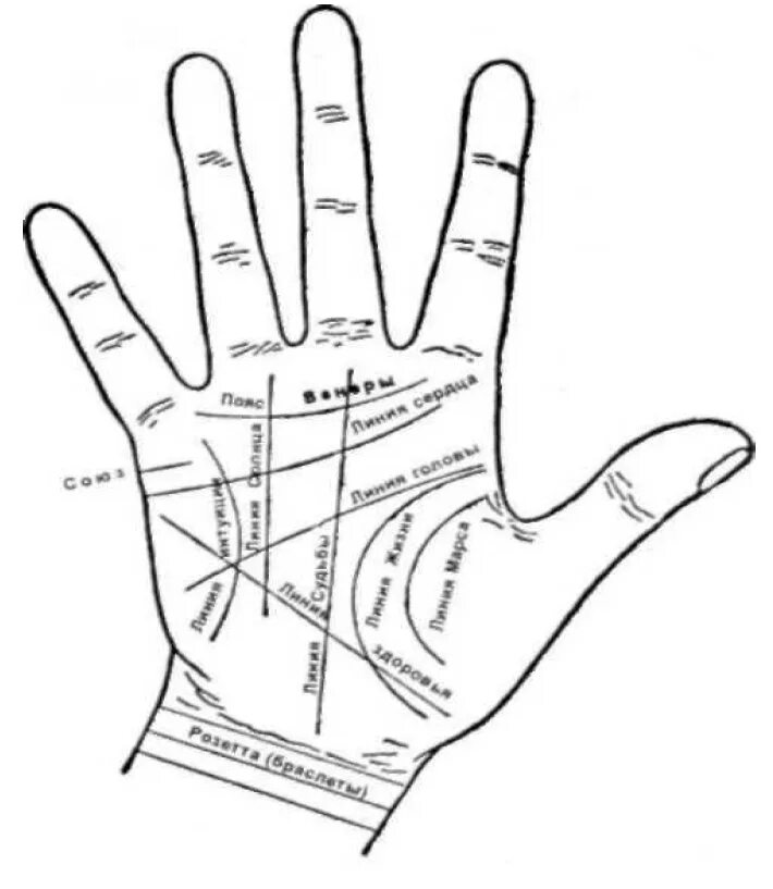 Четыре руки линий. Рука хиромантия схема. Хиромантия линии на руке. Карта руки хиромантия. Линии на руке и из значение.