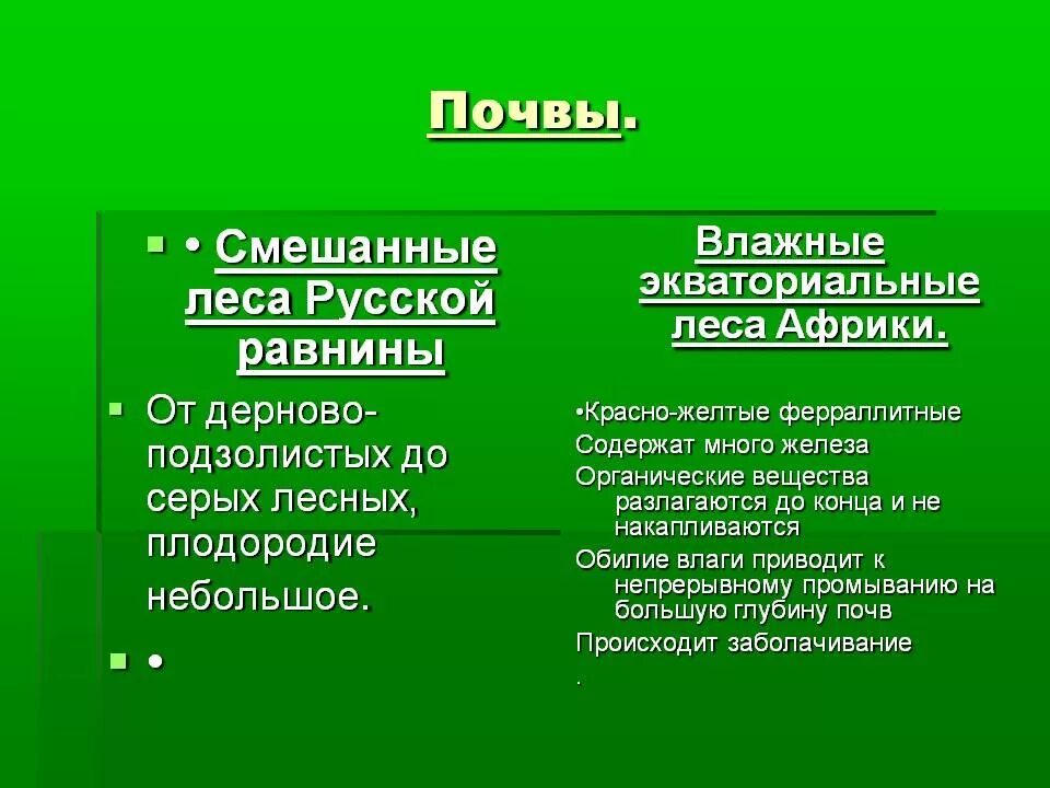 Типы почв характерны для смешанных лесов. Почвы леса русской равнины. Типы почв на русской равнине. Смешанные леса русской равнины почва. Почвы смешанных лесов.