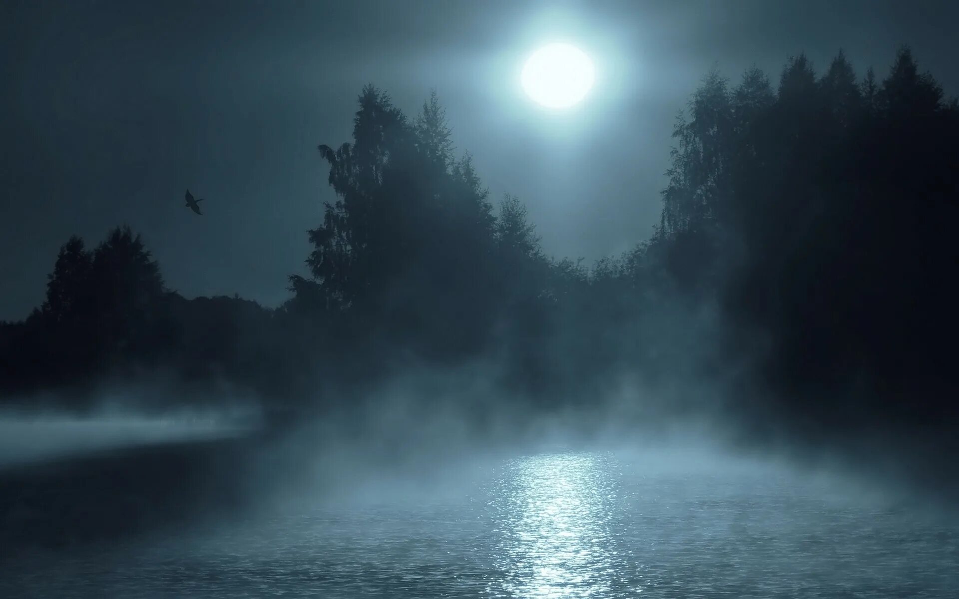 Туман ночью. Озеро в тумане. Мрачное озеро. Лунная ночь в лесу. Ночь свет ветер