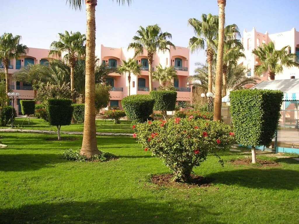Отель le pacha beach resort hurghada. Ле 4. Ле 4. Ле пача резорт египет хургада. Отель le hammamet resort 4 тунис.