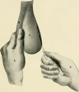 File:Animal castration - a book for the use of students and practitioners (...