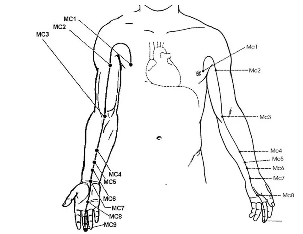 Точка мс 8. Меридиан перикарда точка mc6. Меридиан перикарда в китайской медицине точки. Меридиан сердца в китайской медицине точки. Меридиан перикарда MC 9 точка акупунктуры.