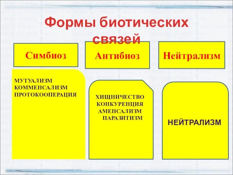 Взаимоотношения между организмами симбиоз антибиоз. Типы взаимоотношений симбиоз нейтрализм антибиоз. Таблица симбиоз антибиоз нейтрализм. Формы взаимодействия между организмами антибиоз и симбиоз. На сколько групп можно разделить все биотические