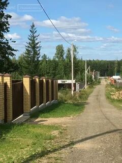 Красный адуй