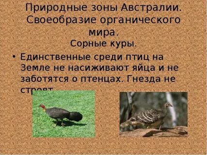 Органический мир австралии