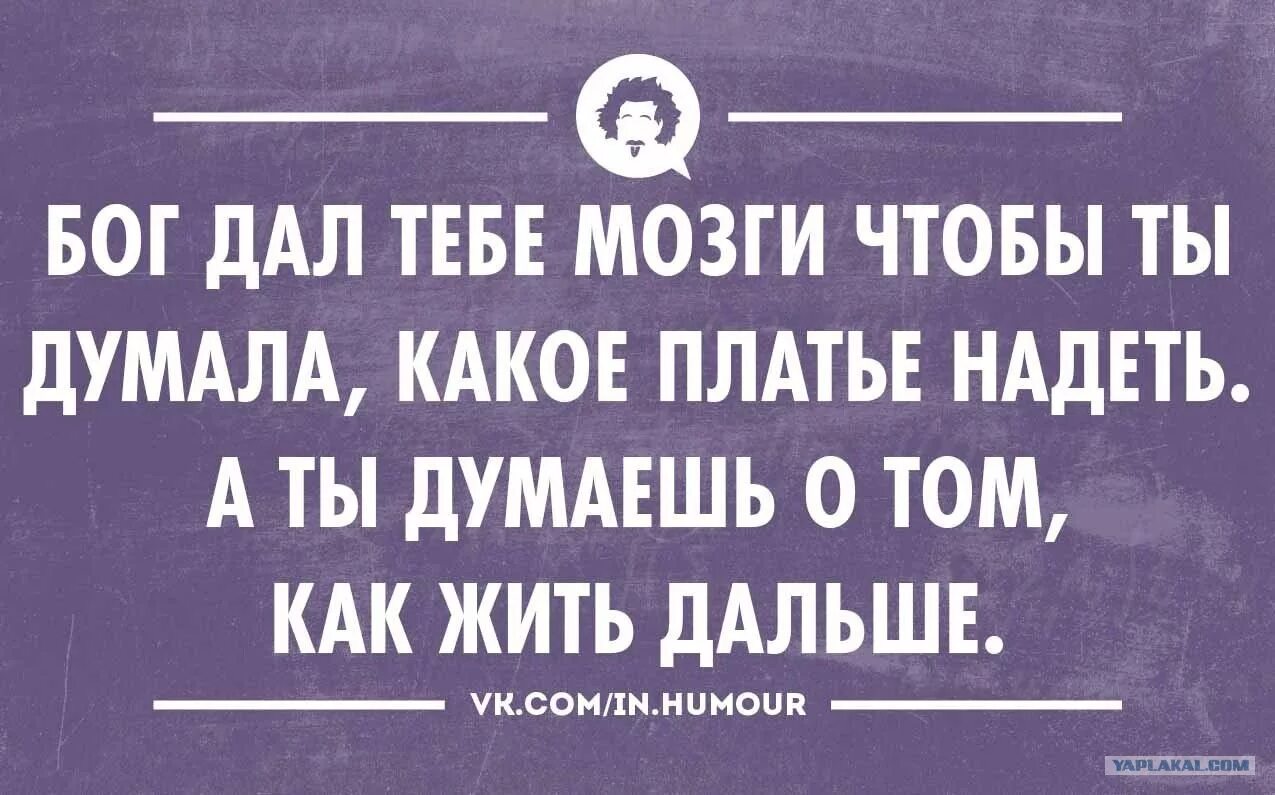 Не думая какая часть. Нудный человек. Смешные цитаты. Самый нудный человек. Бог дал тебе мозги.