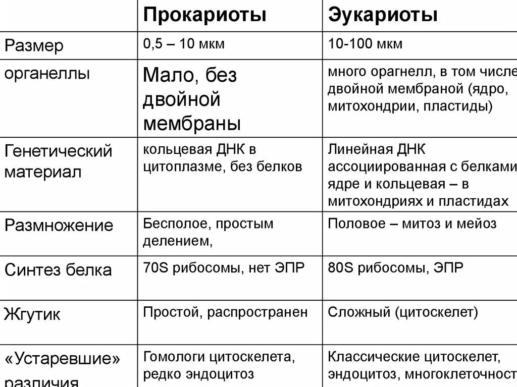 Сравните прокариот и эукариот. Строение клеток прокариот и эукариот таблица. 1. Отличия прокариотов от эукариотов.. Сравнение строения клеток эукариот и прокариот. Характерные признаки прокариот и эукариот таблица.