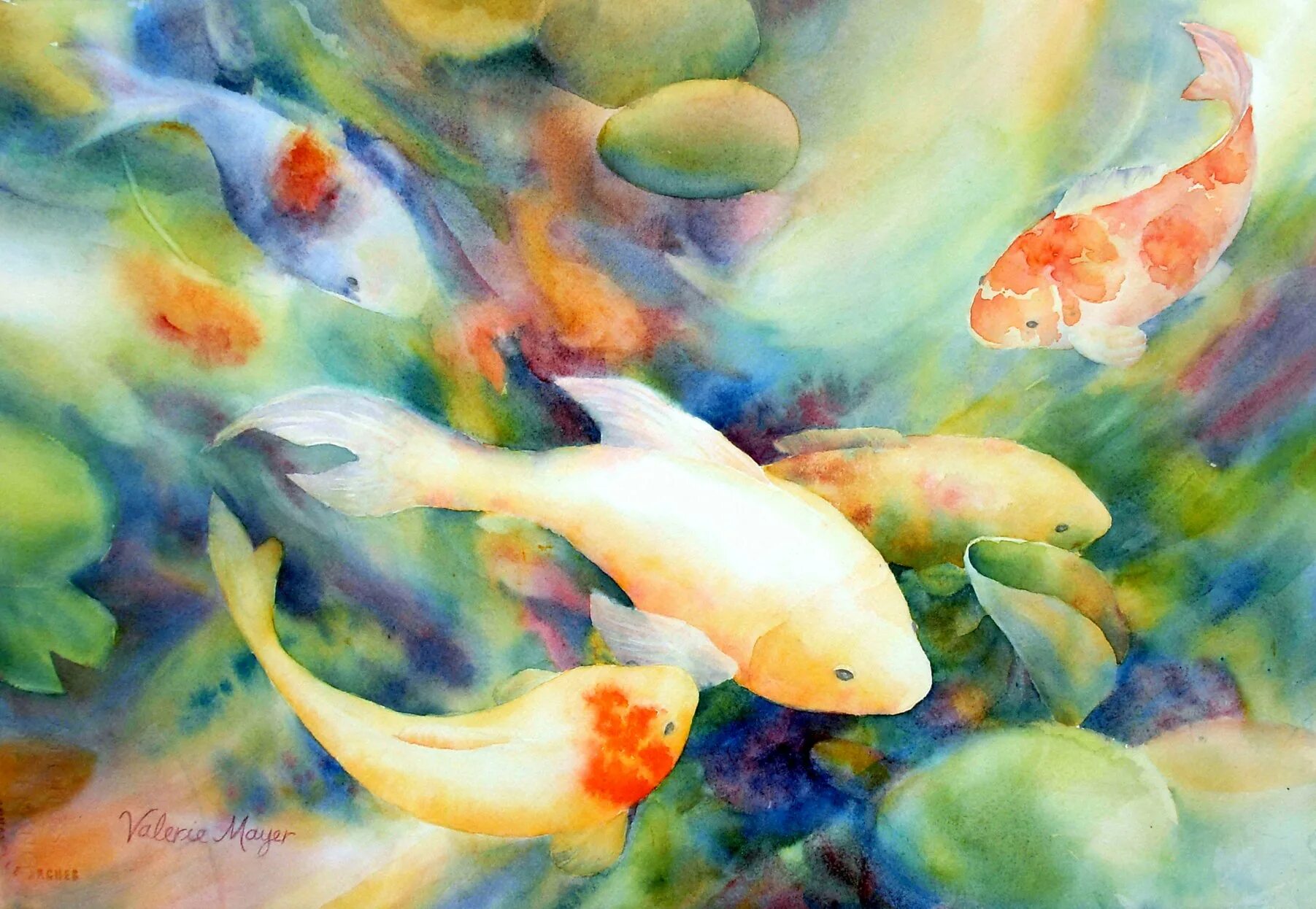 Золотая рыбка акварель. Акварельные рыбы. Акварельные рыбка тернеция. Морская рыбка акварель. Рисунки акварелью для срисовки.