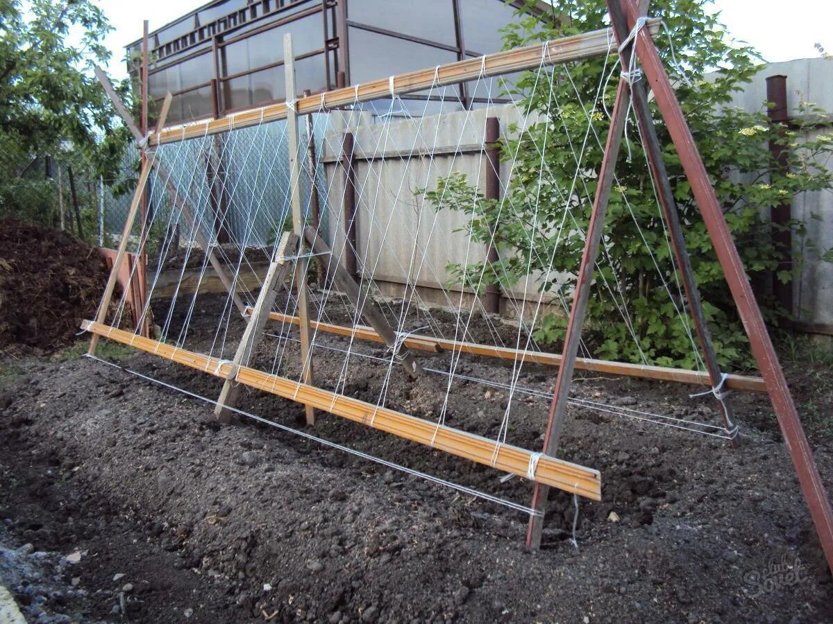 Пергола для огурцов. Для огурцов своими руками. Теплица огуречник для огурцов. Опора под огурцы стеклопластиковая 2х2 м. Огурцы подпорки в открытом грунте.