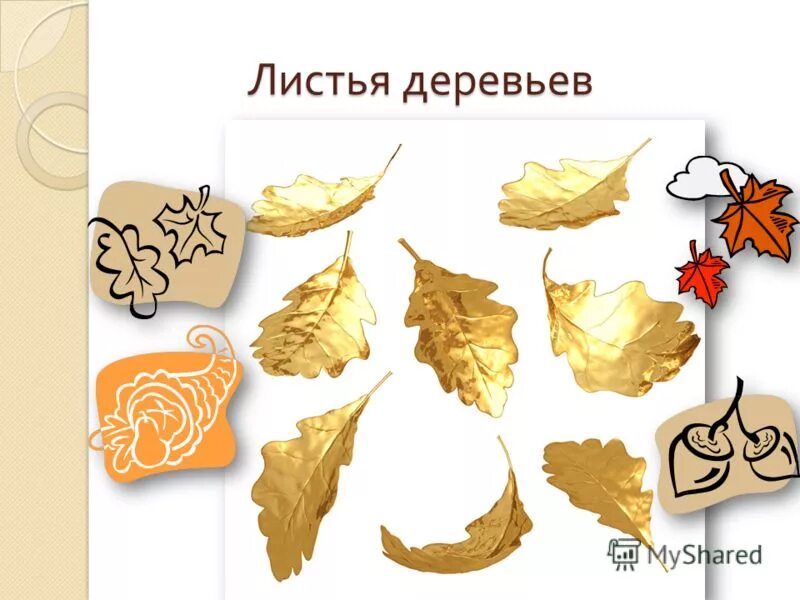 Число листьев в дереве. Листья деревьев. Ствол дерева нумерология. Полное бинарное дерево. Полное дерево.