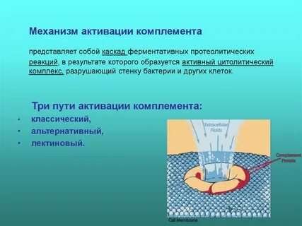 Механизмы активации