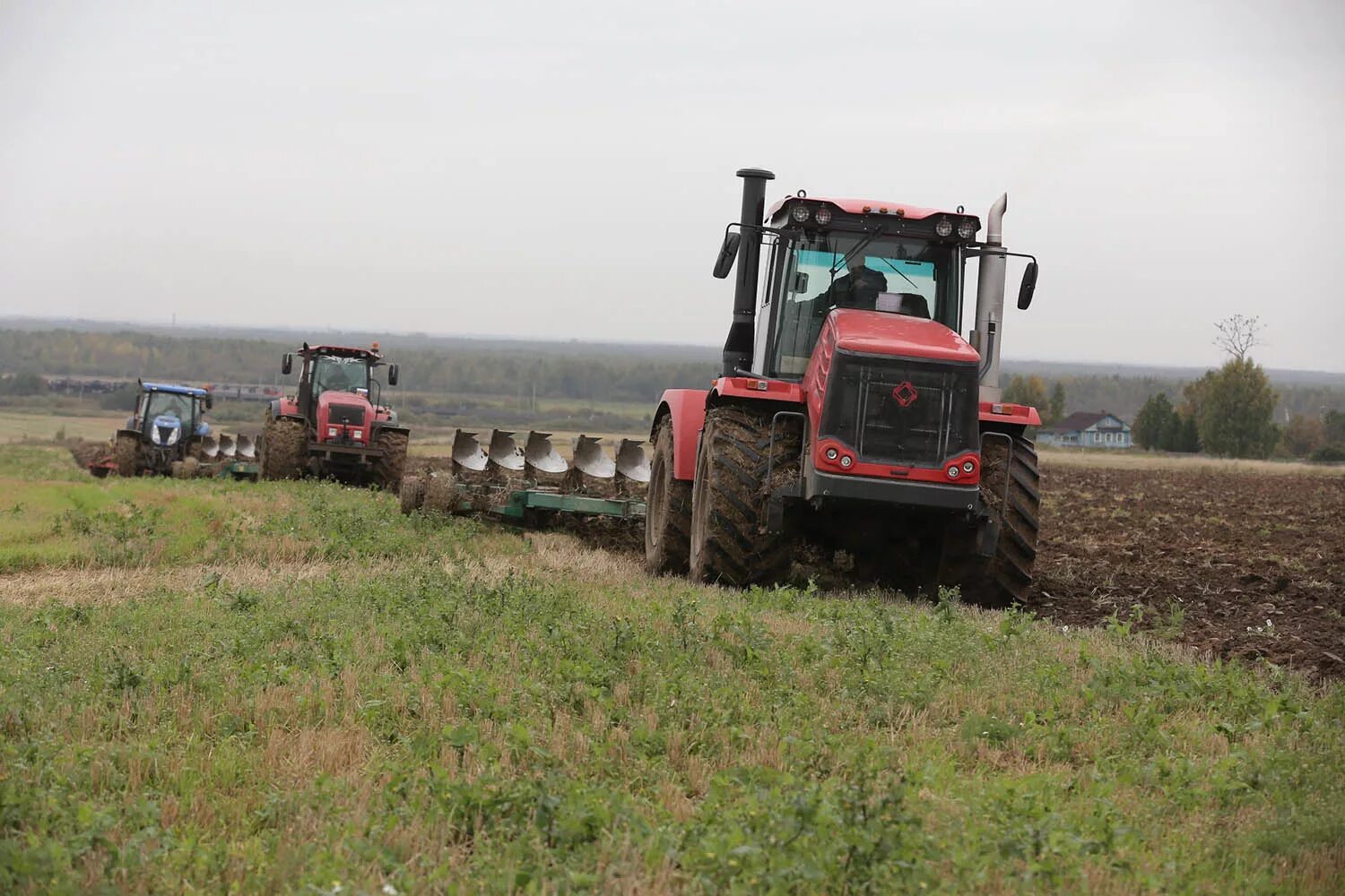 Сельскохозяйственные культуры республики коми. Весенняя посевная кампания вологодская область. Вологда сельское хозяйство. Животноводство вологодской области. Полевые работы в сельском хозяйстве.