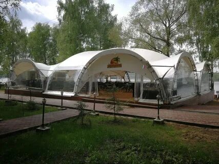 Бора бора зеленоград