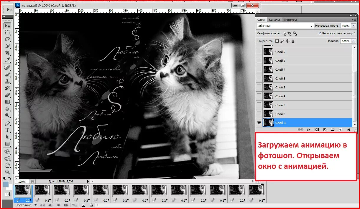 Где взять анимацию. Фоторамки с котиками для фотошопа. Коты фотошоп. Визитки с котиками. Котенок для фотошопа.