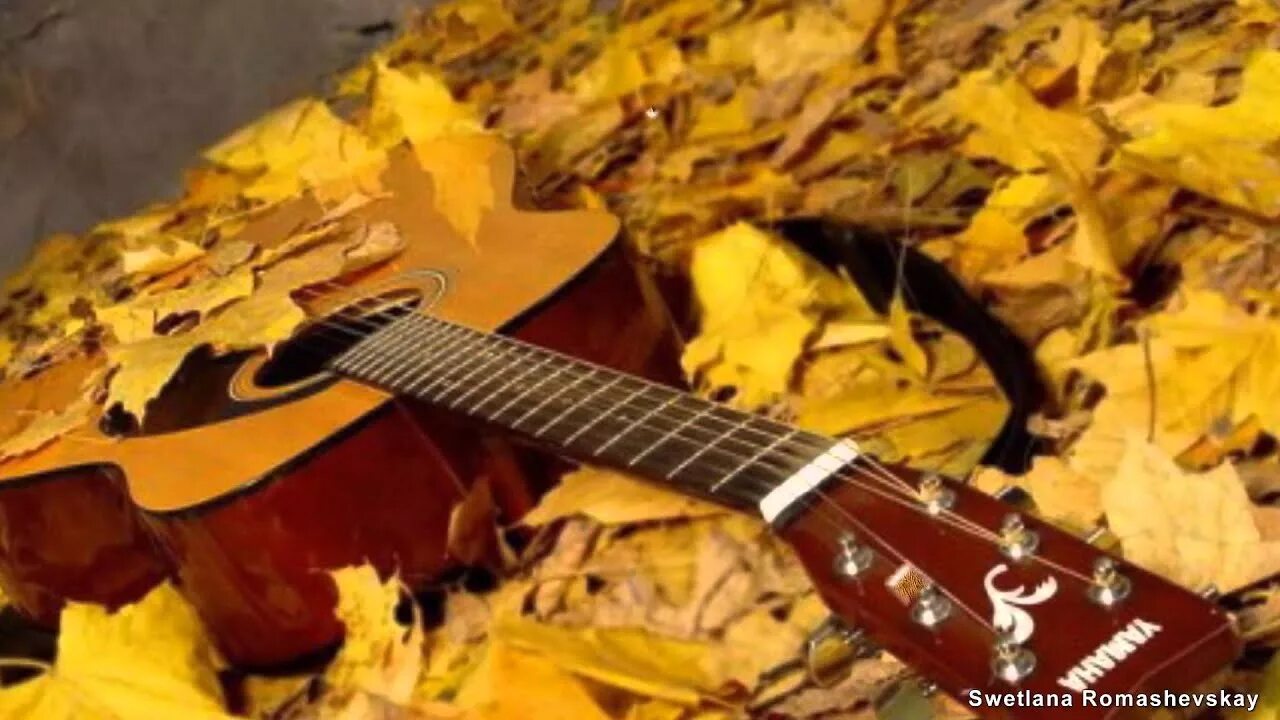 Осени споем. Гитара в осенних листьях. Гитара осень листья. Гитара в осеннем лесу. Электрогитара в осенних листьях.