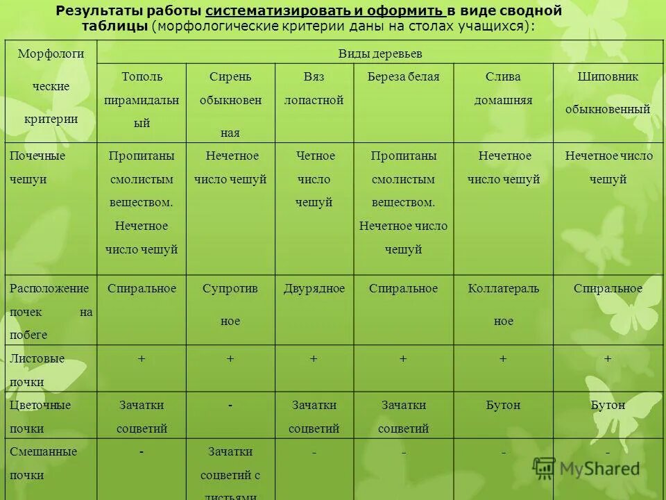 Относится к категории жизненно. Типы растений таблица. Характеристика растений. Виды растений таблица. Морфологическая характеристика растений.