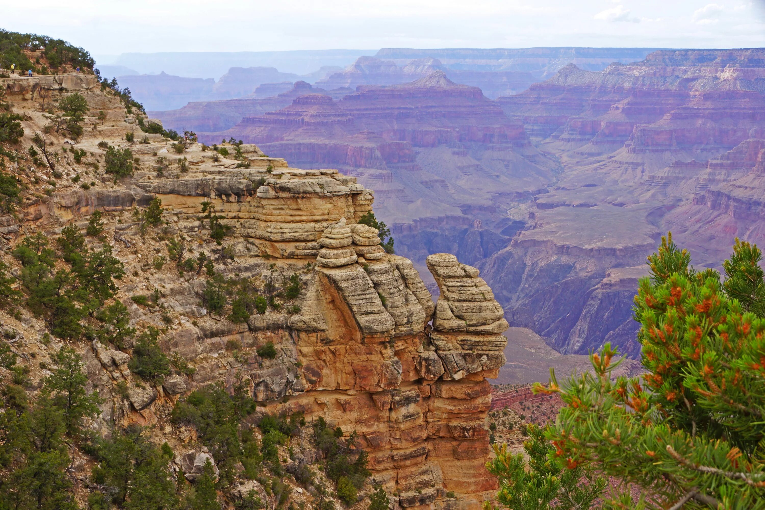 Национальный парк Гранд-каньон. Гранд каньон в США. Гранд каньон в США природа. National Park-Grand Canyon растения. Фотография каньона