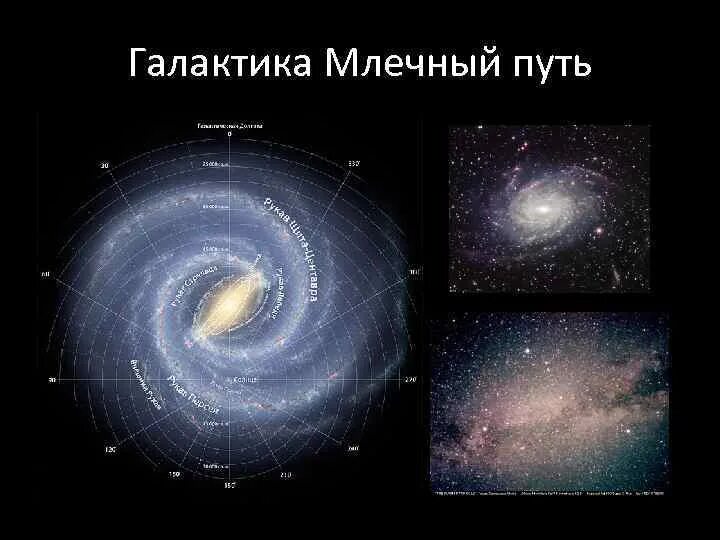 К какому типу галактик относится млечный путь. Строение Галактики Млечный путь и Солнечная система. Галактика Млечный путь во Вселенной. Строение Млечного пути. Наша Галактика вид сверху.