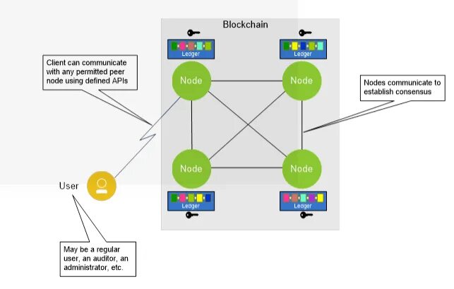 Node peers. Zignuts Technolab. How many Blockchain Networks are there.