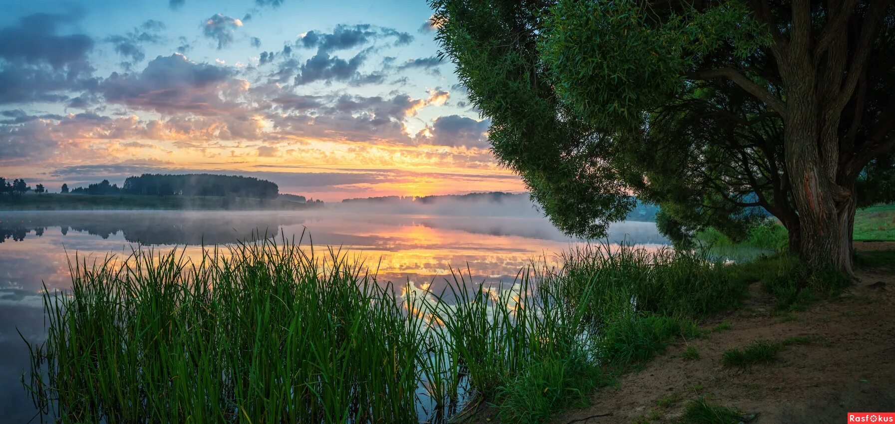Тверь между двумя столицами. Между двух зорь. Между двух зорь. Quarrel between lovers. Фрида kyss mig.