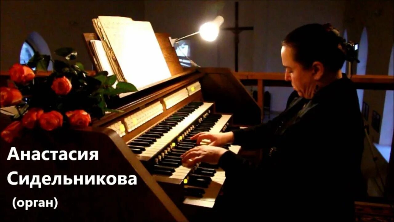 Моцарт играет на органе. Моцарт органная музыка. Орган музыкальный инструмент баха. Разновидности опер моцарта. Моцарт и вивальди.