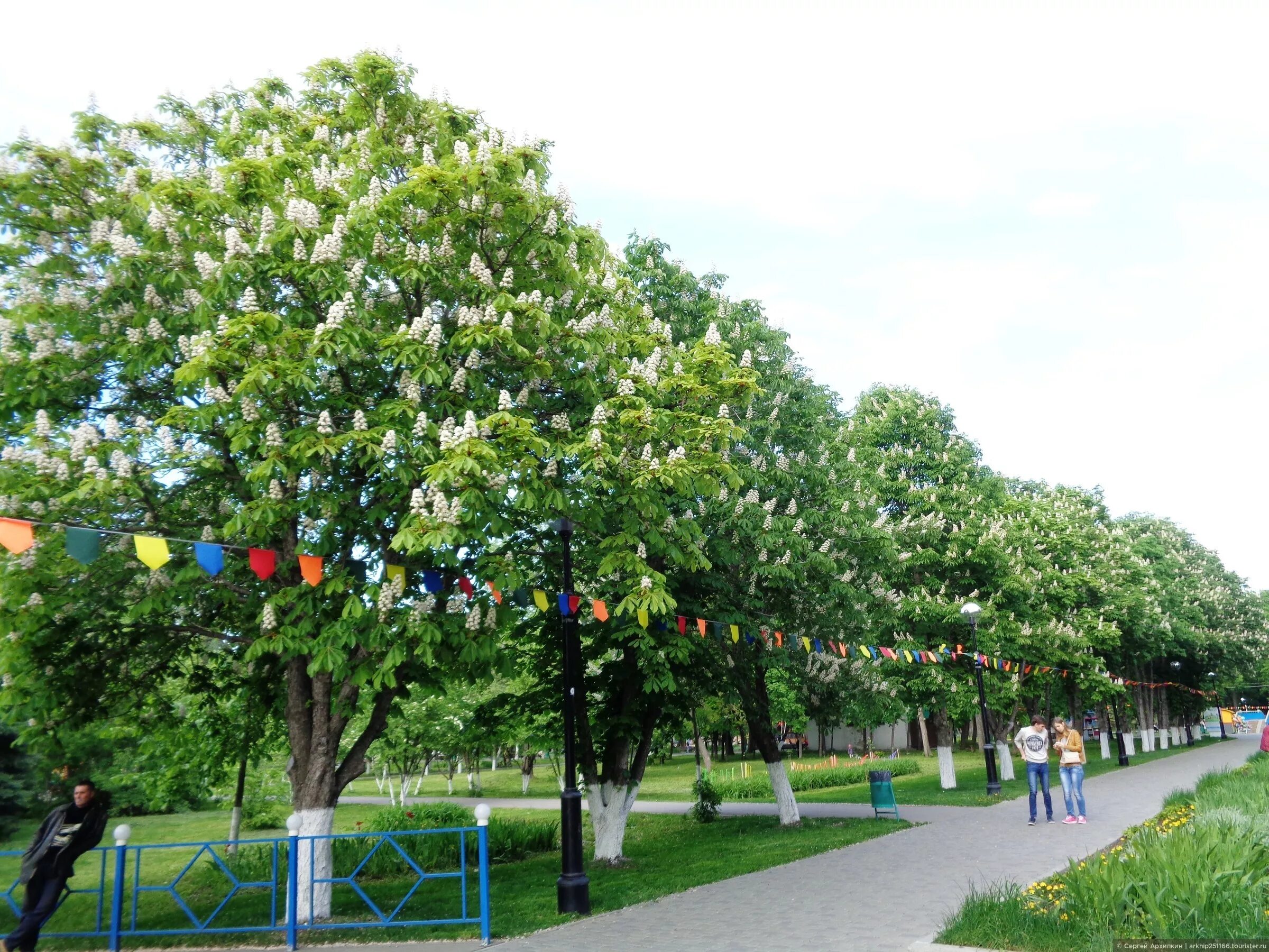 парк гагарина сырные ворота самара. шоу тайм самара парк гагарина. самые экстремальные развлечения самара. аттракционы в самаре в парке гагарина. парк гагарина самара пруд.