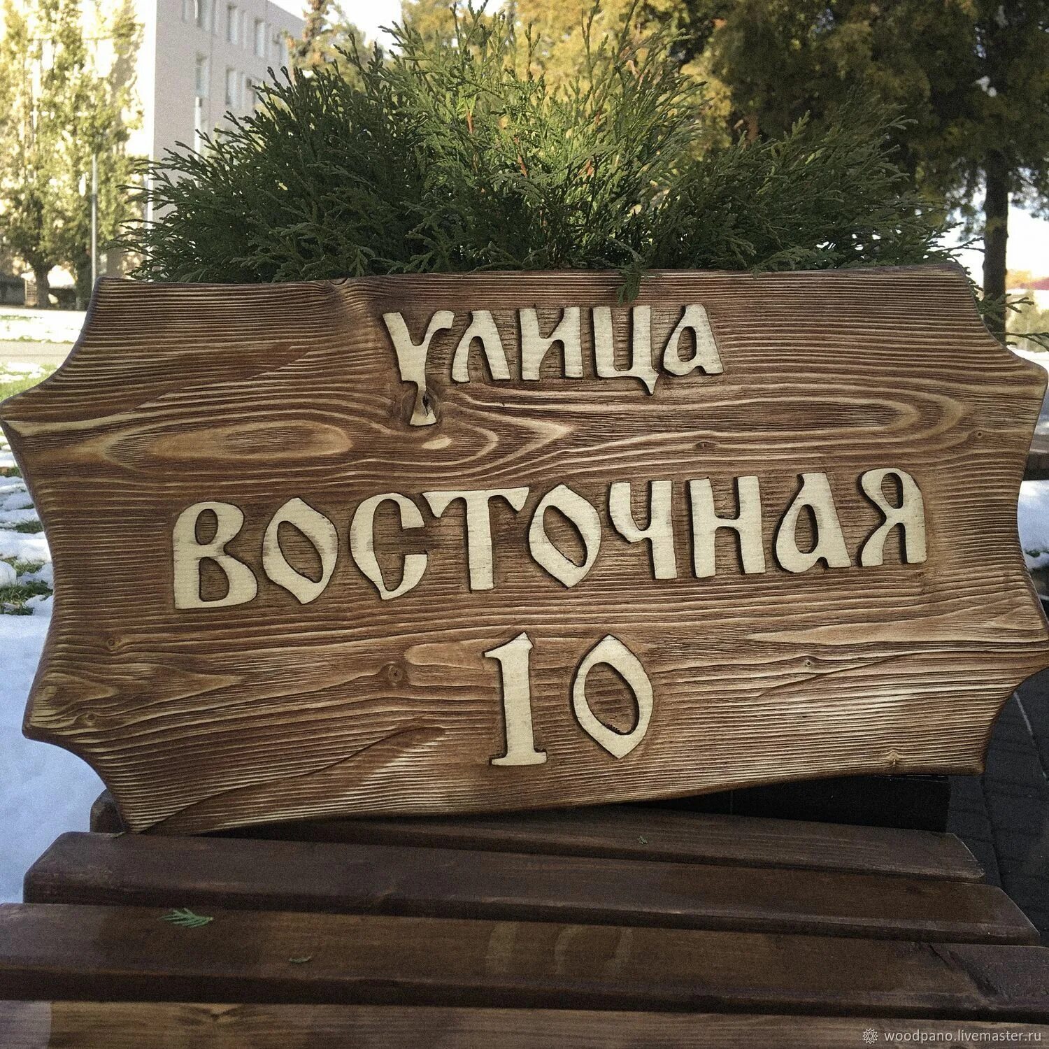 Название улиц деревьев