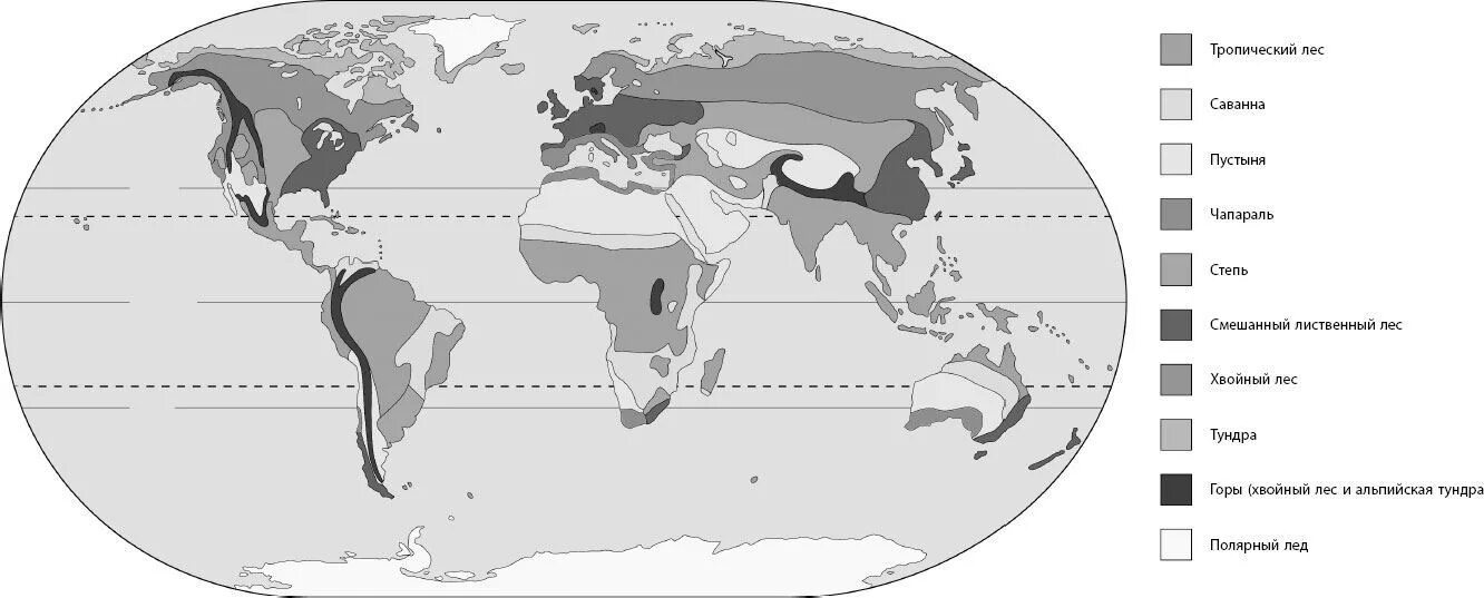 Биомы суши. Биомы суши карта. Карта биомов земли. Основные биомы суши карта.