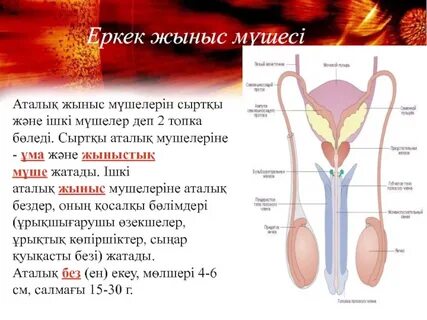 Комсомольск-на-Амуредегі жыныстық әйел