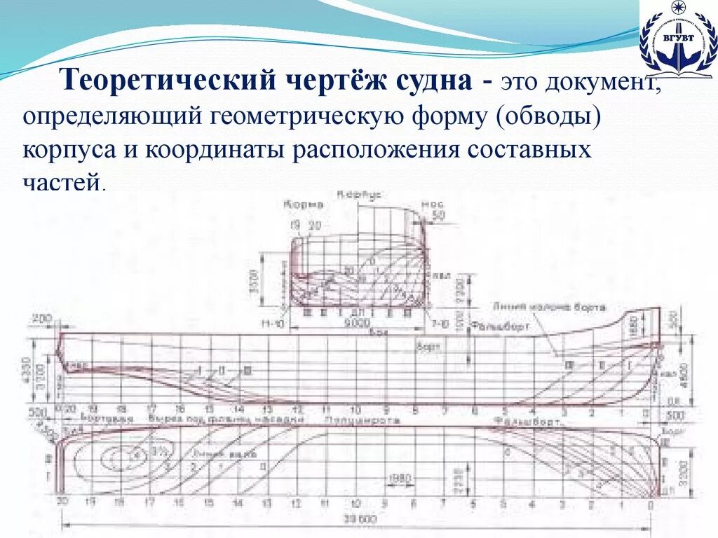 Сайт для построения теоретического чертежа судна Файл:Nikolai  Global wiki.