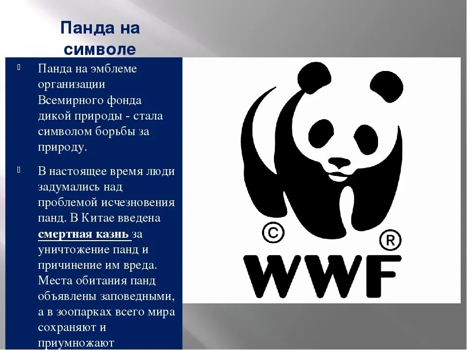 Панда собирает в круг. Всемирный фонд дикой природы WWF символ. Панда символ. Символ Панда организация. Панда символ WWF.