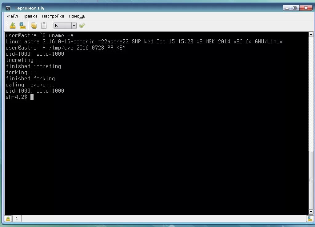 Astra linux fly. Оболочка astra linux. astra linux терминал. astra linux ping. загрузочный диск линукс-астра.