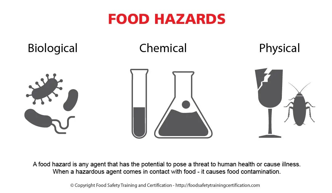 Physical chemical. Chemical Hazards in food. Physical Hazards. Зараженная пища. Food Biological Hazard.