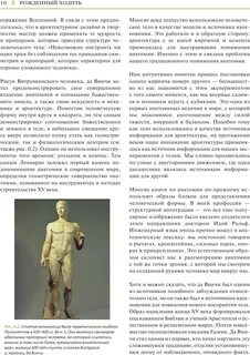 Рожденный ходить