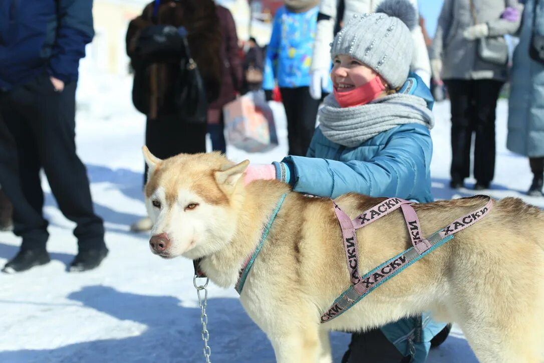 Масленица в дендропарке