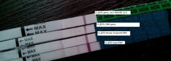 File test 10. Тест на беременность. тест на беременность insure. положительный тест. test на беременность отзывы.
