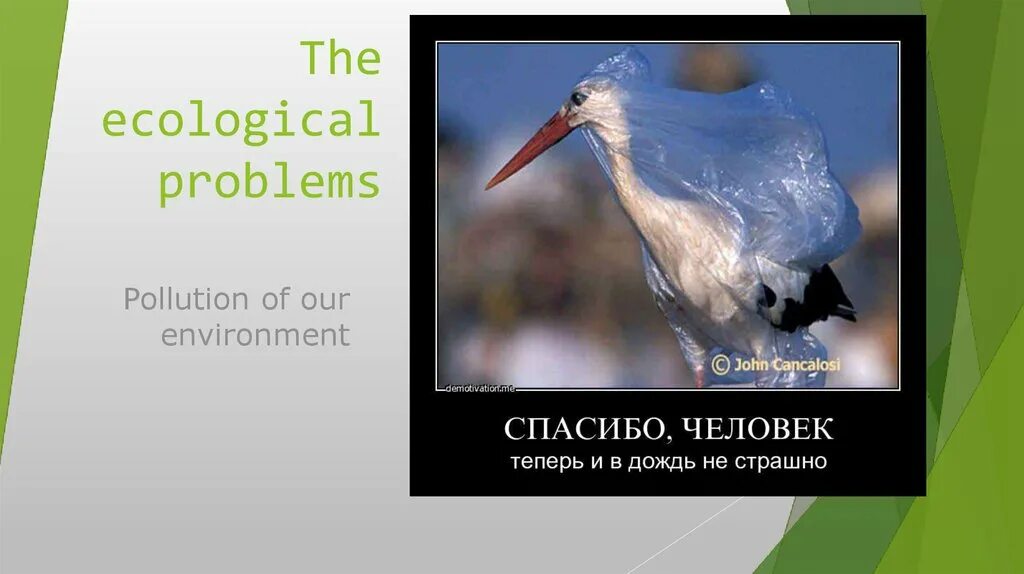 What environmental problems do you consider. Ecological problems презентация. the reasons of ecology problems. ecological problems presentation. most serious ecological problems.