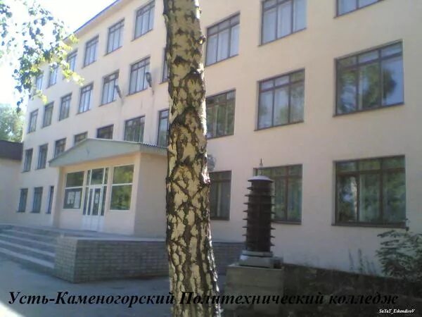 Колледжи усть. Колледжи усть. Преподаватели усть каменогорского политехнического колледжа. Пед колледж усть каменогорск. Колледж в усть-каменогорске.
