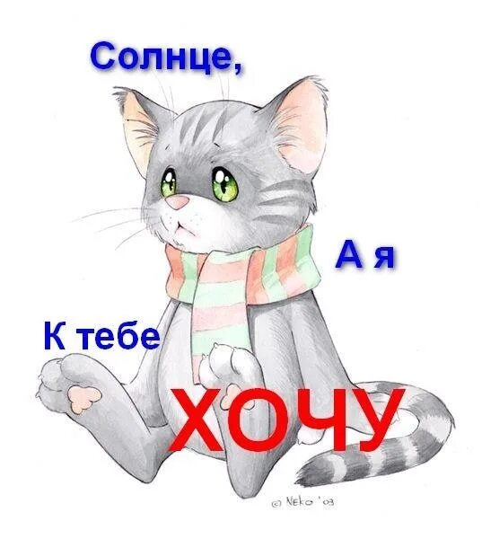 Привет хочу тебя. Солнышко ты где. Люблю тебя солнце. Солнышко я скучаю. Люблю тебя солнце моё.