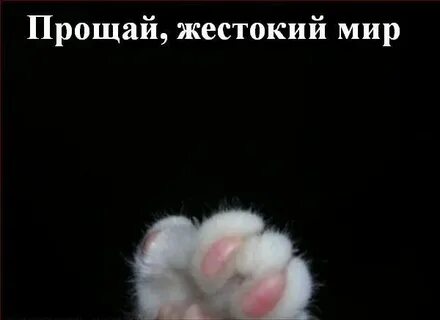Извинить поддержать
