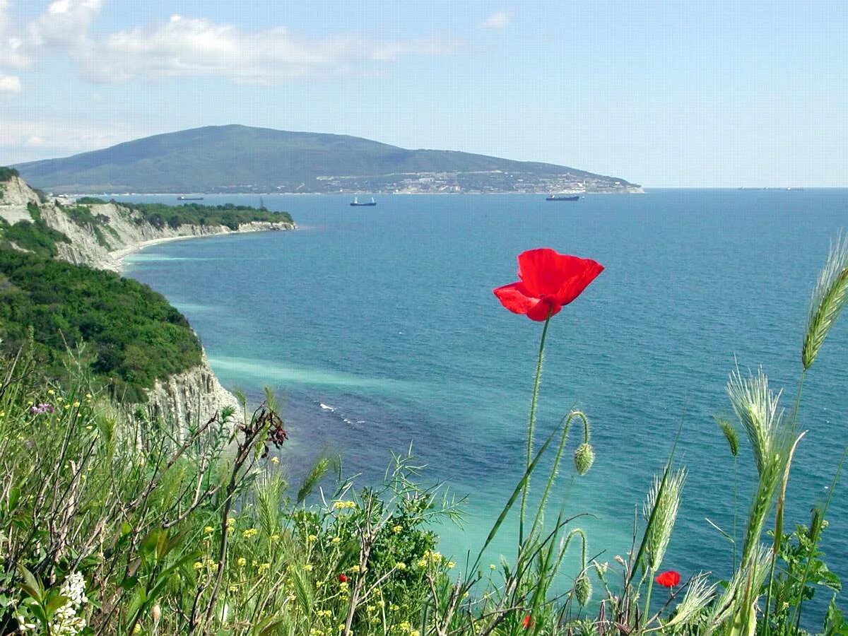 Море и горы краснодарский край. Остров утриш анапа. Черноморье крым анапа. Небуг скала киселева. Черное море краснодарский край.