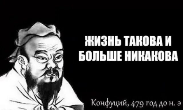Такова жизнь. Жизнь такова какова она есть. Жизнь такова какова она есть. Волк мем. Жизнь такова и больше не какова.