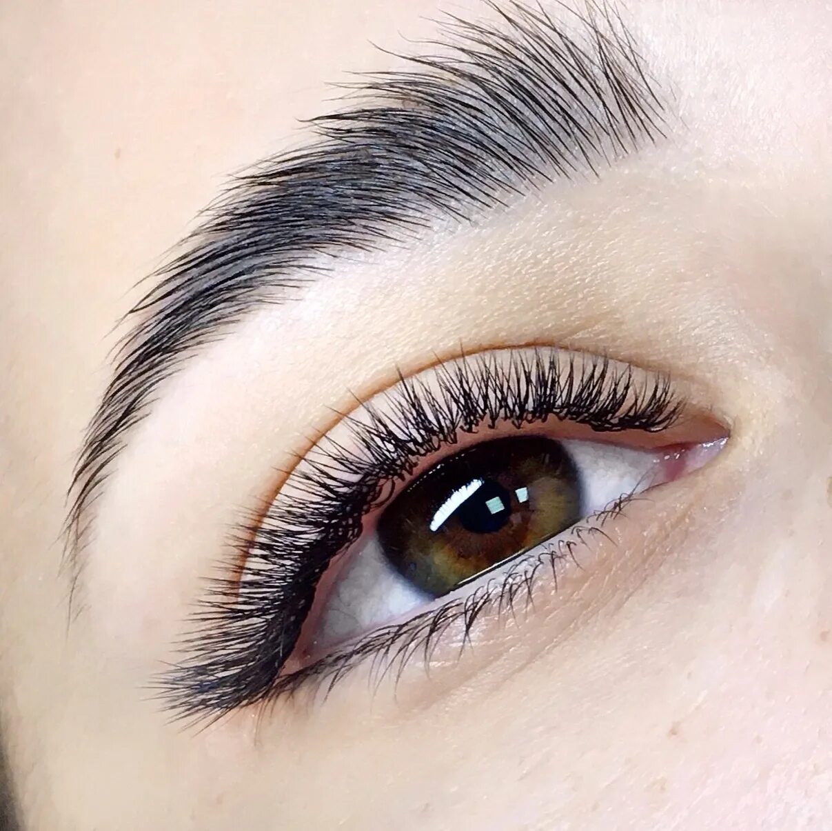 Pin on Mapping Lashes