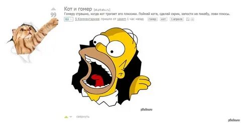 Кот гомер