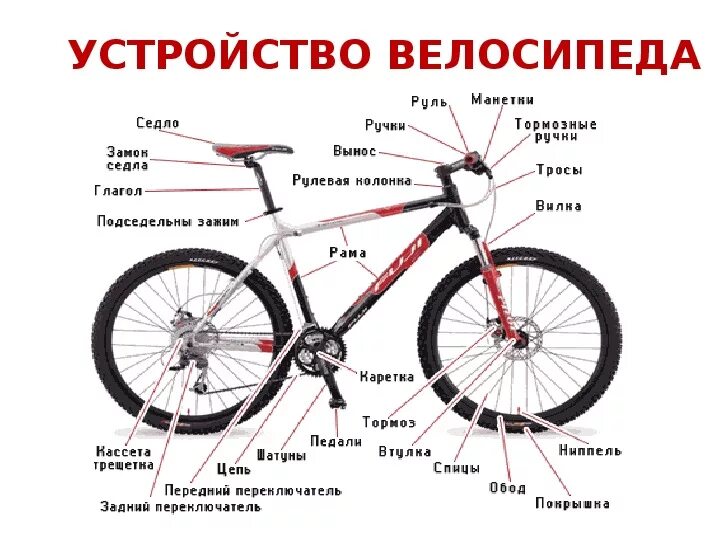 Размеры скоростных велосипедов. Схема велосипеда с названием деталей стелс. Устройство велосипеда схема для детей. Строение велосипеда схема. Скоростной велосипед стелс строение.