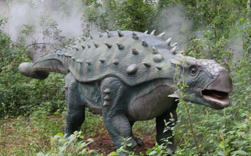 Динозавр анкилозавр. Анкилозавр dino park. анкилозавр прогулки с динозаврами. анкилозавр настоящий. колючий динозавр.